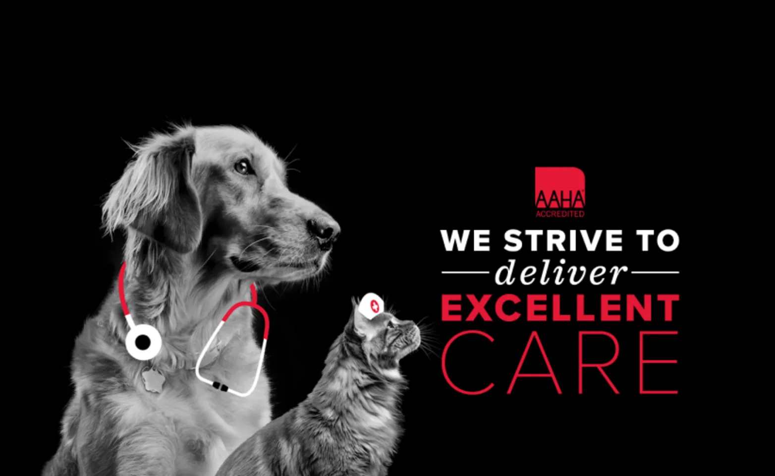 AAHA Logo with a cat and dog